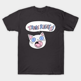 Trans Rights! T-Shirt